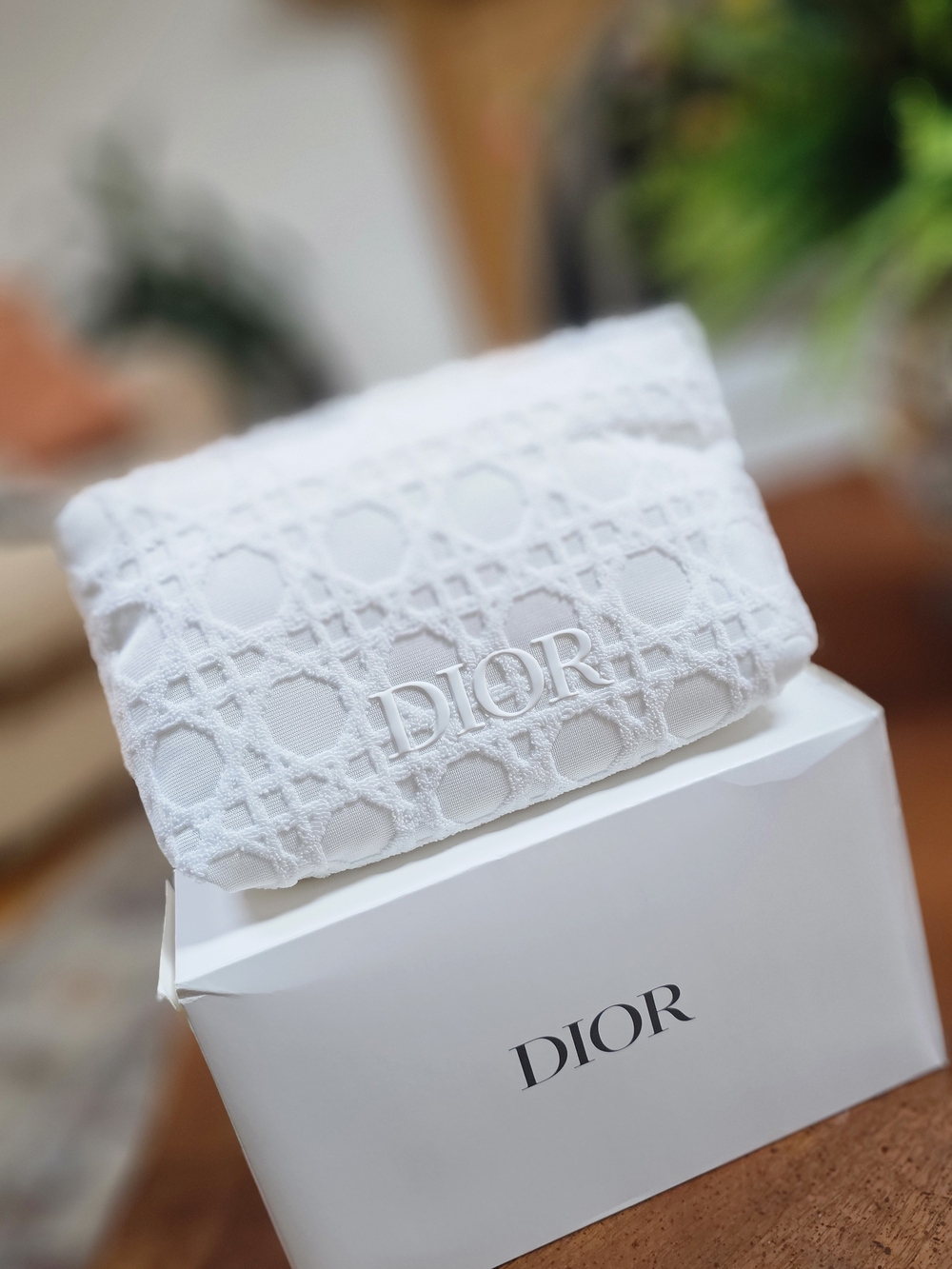 Dior Silver-Accented White Zipper Pouch